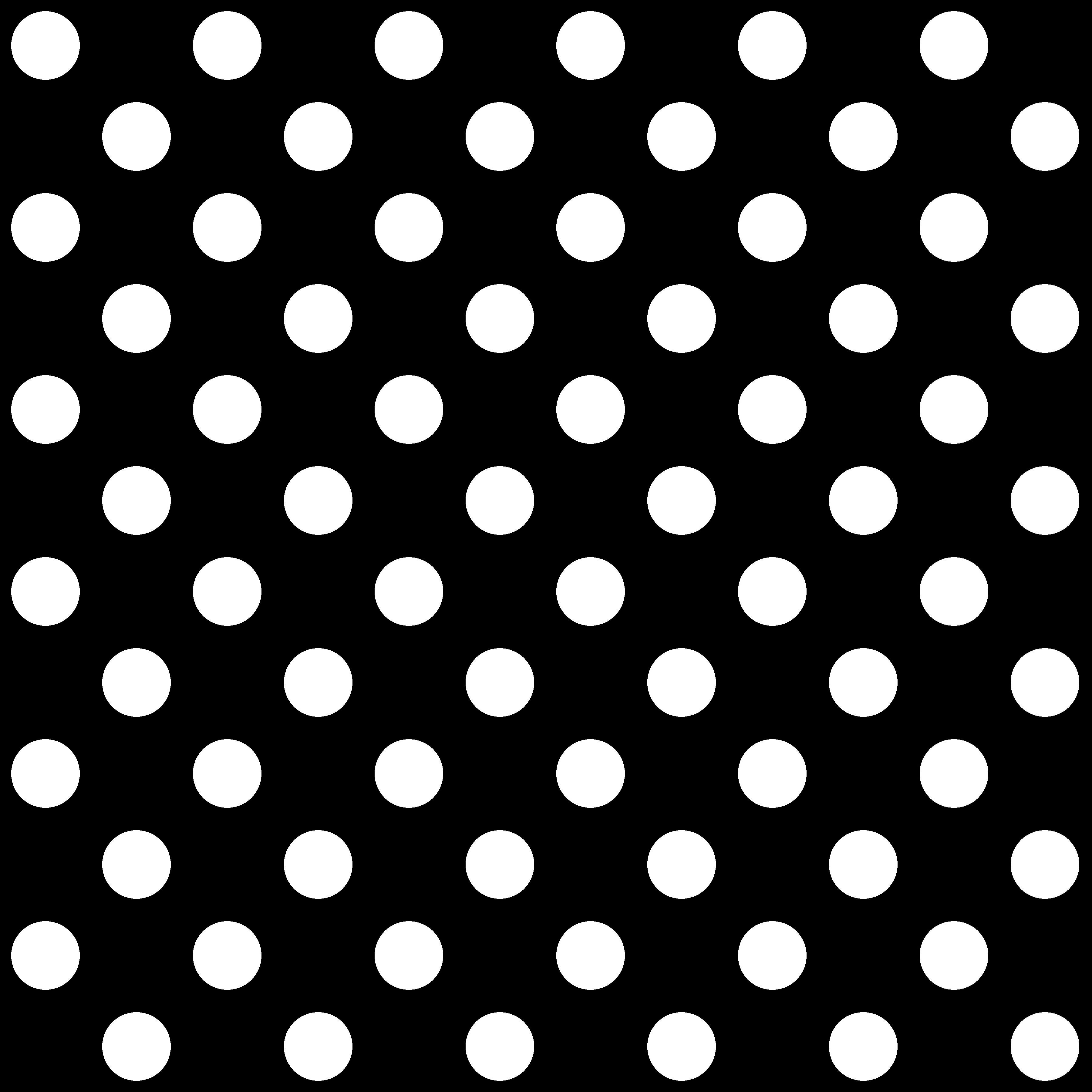 True Colors - Pom Poms Ink Black ground with white dots
